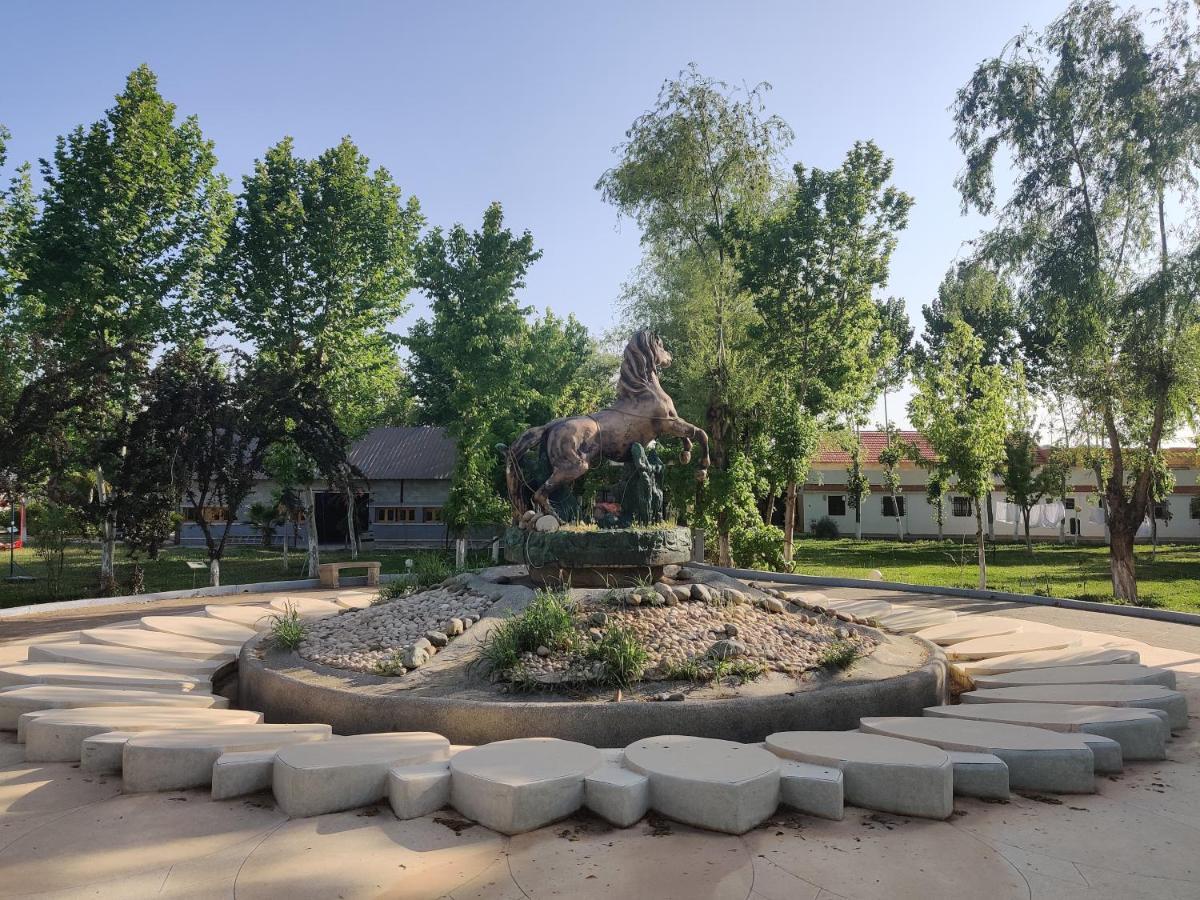 Le Vallon Vert - Club Equestre Azrou Exteriör bild