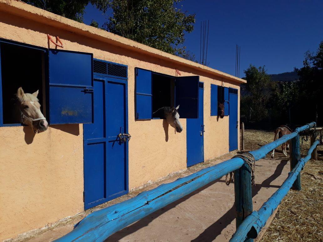Le Vallon Vert - Club Equestre Azrou Exteriör bild